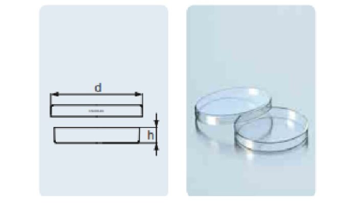 petridish